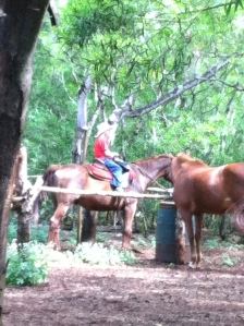 Noah on a Horse Oahu